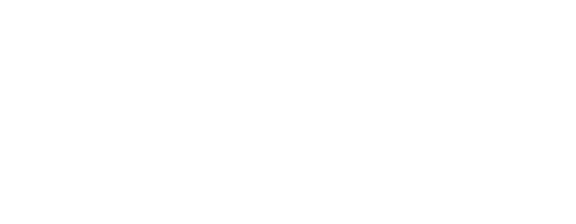 Questsys logo