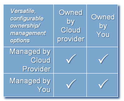 Graph that details choices in Cloud services. Owned by you or owned by Quest, we can manage your Cloud.