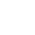 Cybersecurity Icon