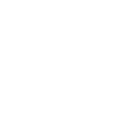 Professional IT Services Icon