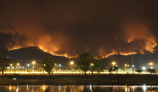 disaster recovery redwood credit union Wildfire