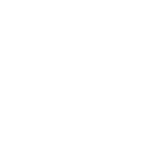 Ruckus logo stacked white