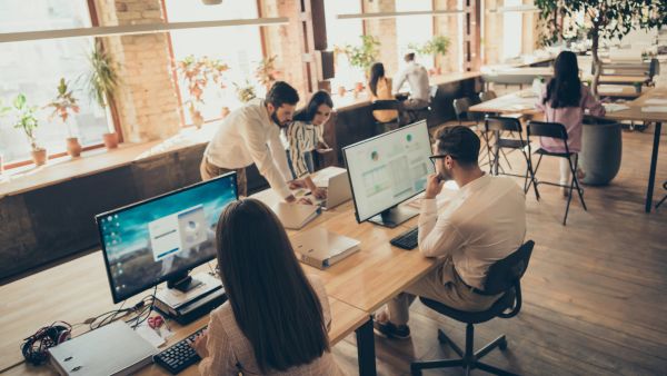 Internal IT team collaborating in an office, representing co-managed IT support that combines in-house expertise with outside technology resources.